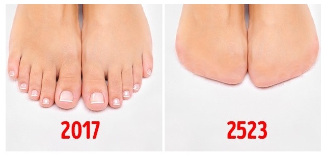 Zdroj : brightside.me