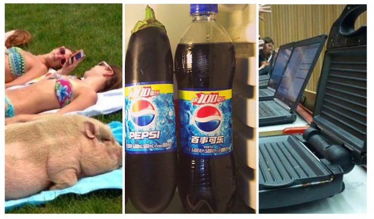 Zdroj : lifebuzz.com