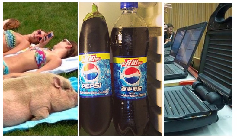 Zdroj : lifebuzz.com