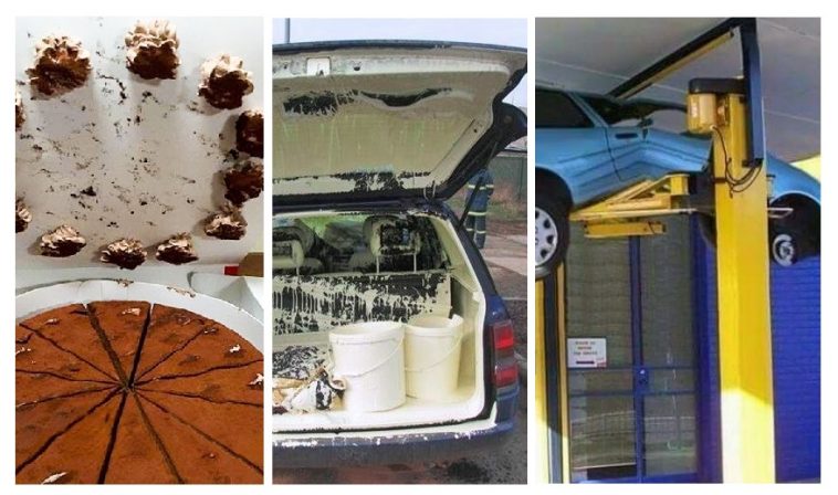 Zdroj : brightside.me