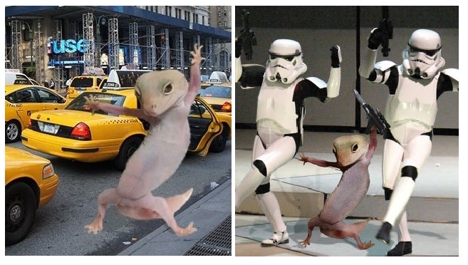 Zdroj : boredpanda.com