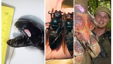 Zdroj : jenpromuze.cz