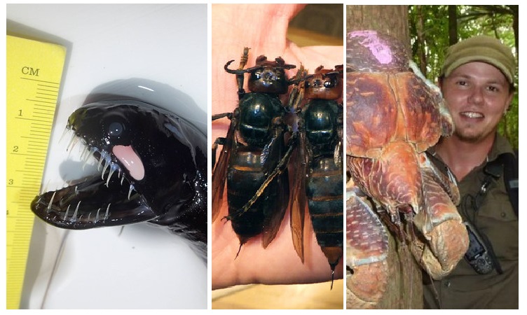 Zdroj : jenpromuze.cz