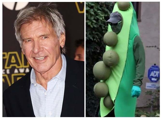 Zdroj : boredpanda.com