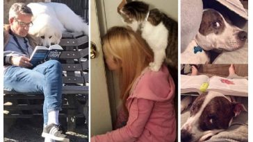 Zdroj : brightside.me