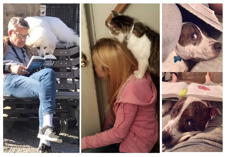 Zdroj : brightside.me