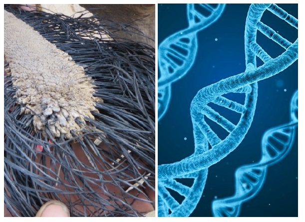 Zdroj : brightside.me