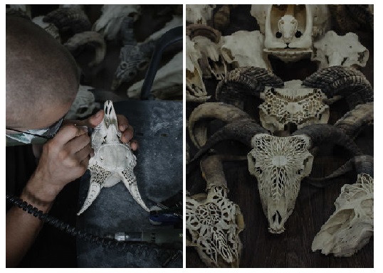 Zdroj : boredpanda.com