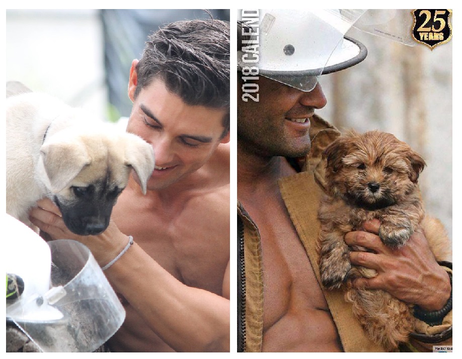 Zdroj : sobadsogood.com