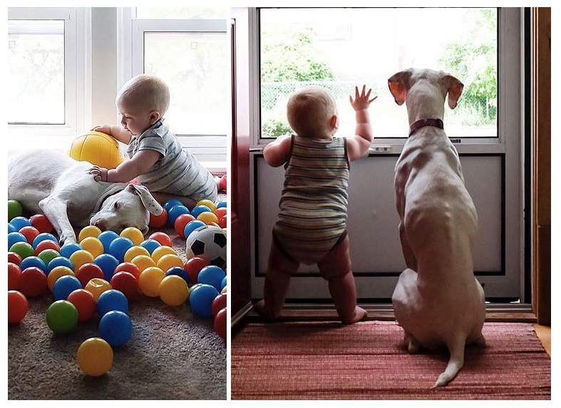 Zdroj : boredpanda.com