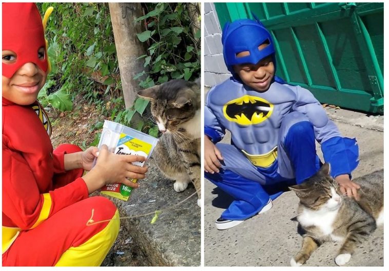 Zdroj : boredpanda.com