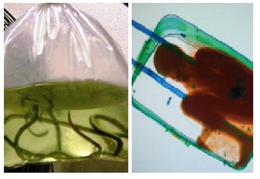 Zdroj : brightside.me