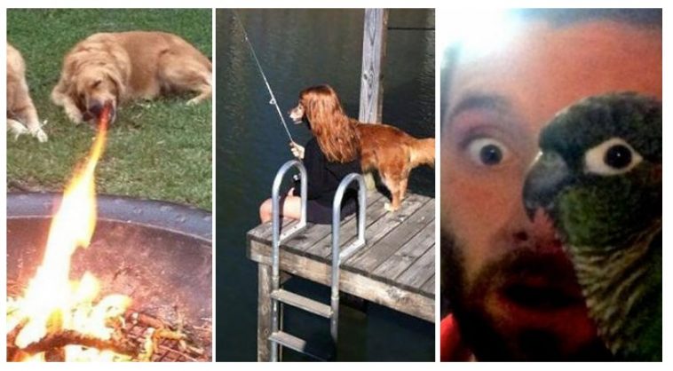 Zdroj : coolmagazin.iprima.cz