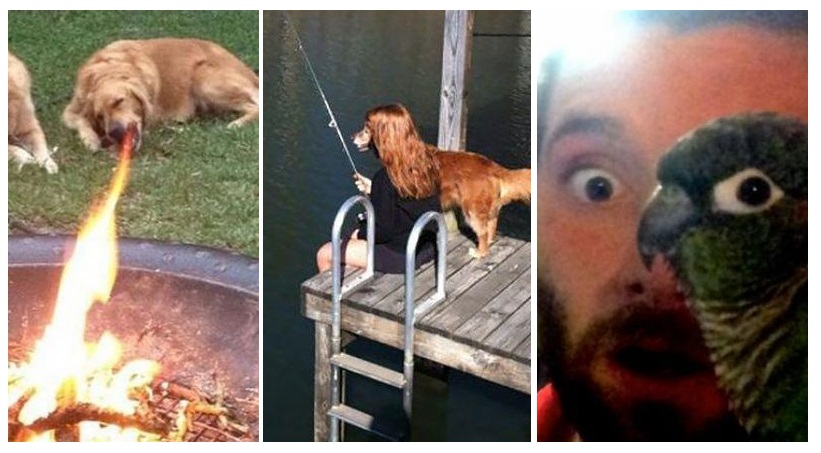 Zdroj : coolmagazin.iprima.cz