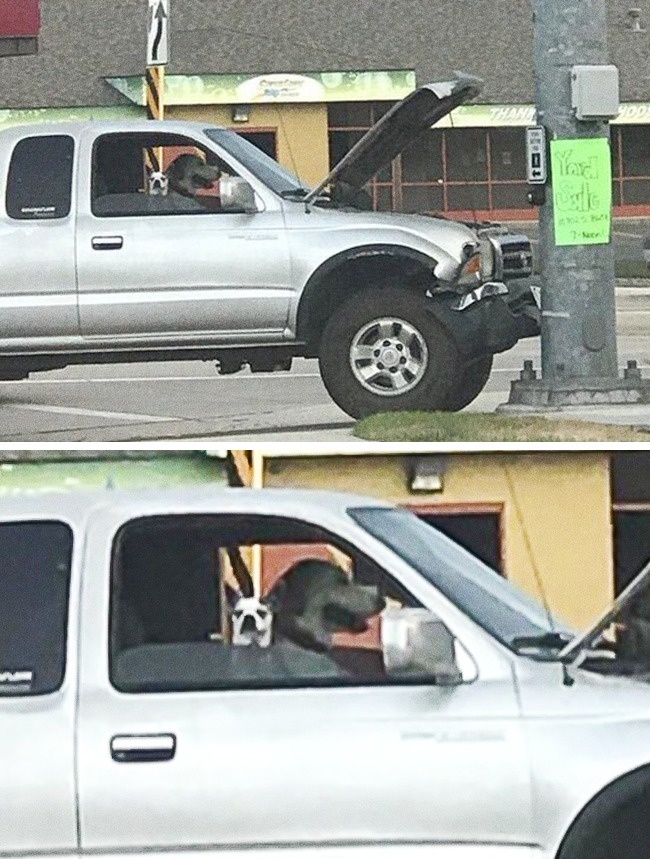 Zdroj : brightside.me