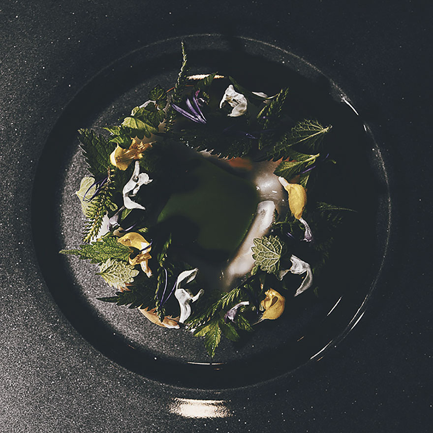 Zdroj : boredpanda.com