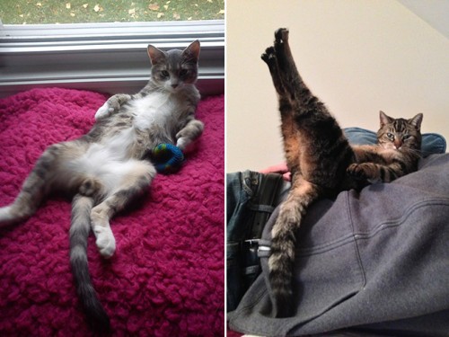 Zdroj : jenpromuze.cz