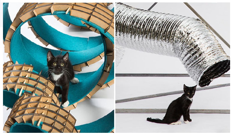 Zdroj : boredpanda.com