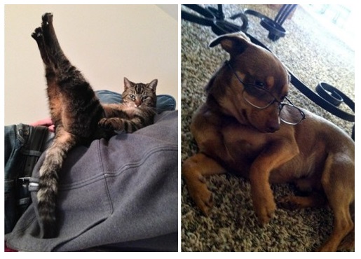 Zdroj : jenpromuze.cz