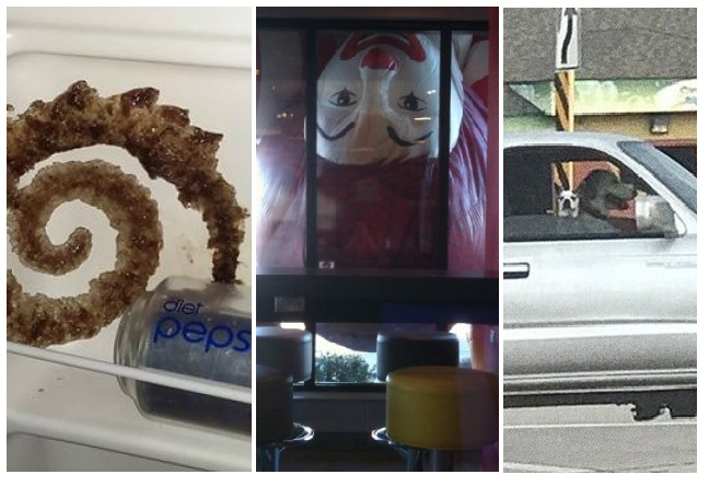 Zdroj : brightside.me