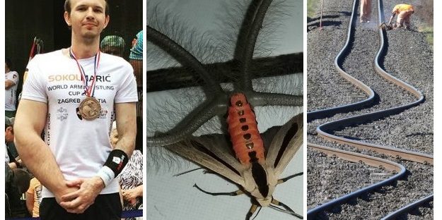 Zdroj : brightside.me