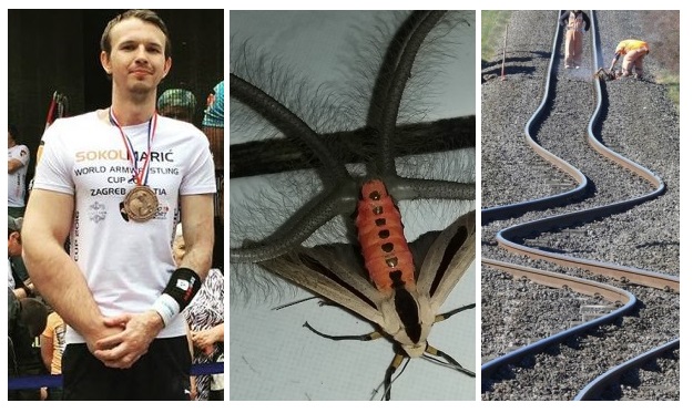 Zdroj : brightside.me