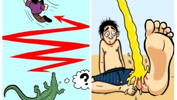 Zdroj : brightside.me