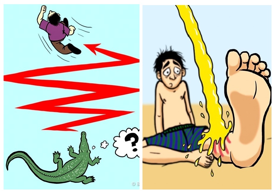 Zdroj : brightside.me