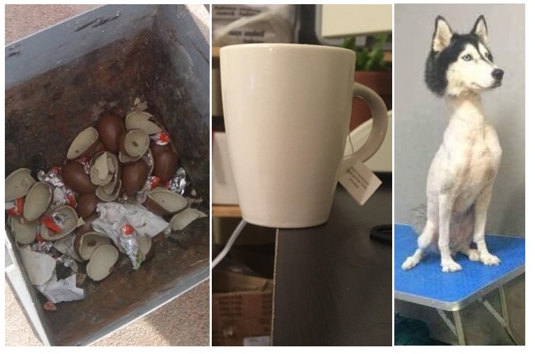 Zdroj : brightside.me