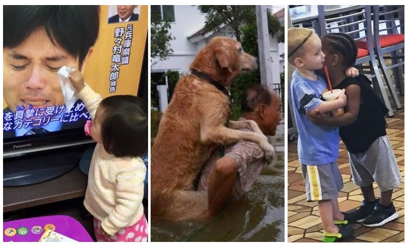 Zdroj : brightside.me