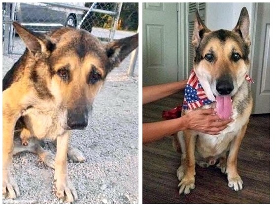 Zdroj : brightside.me