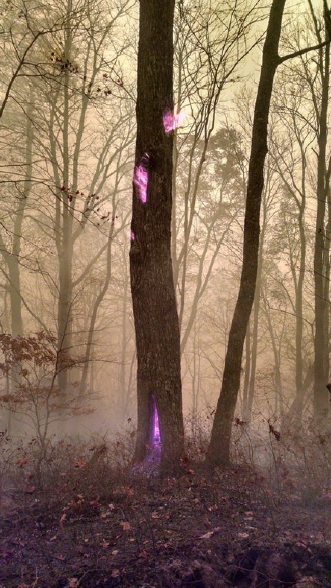Zdroj: brightside.me