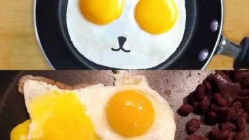 Zdroj: brightside.me