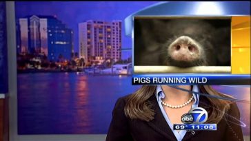 Zdroj: brightside.me