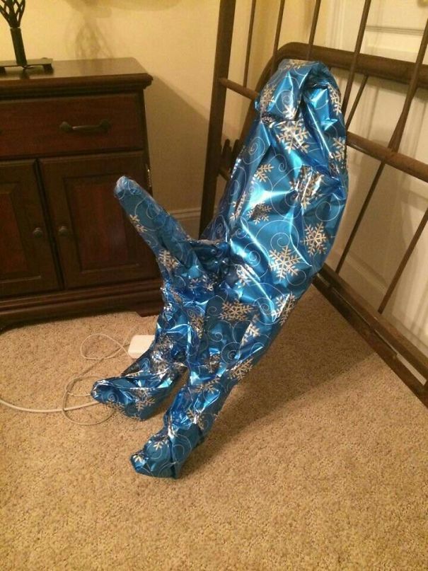 Zdroj : boredpanda.com