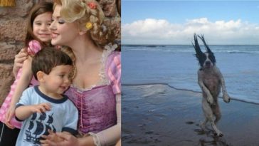 Zdroj: brightside.me