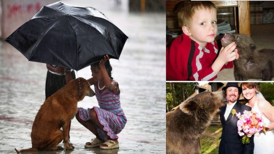 Zdroj: brightside.me