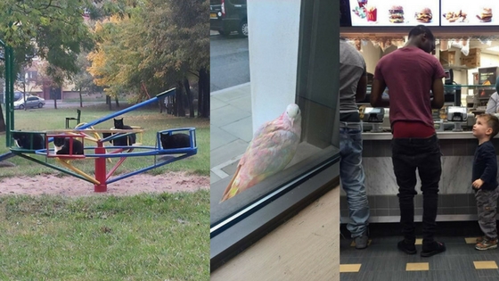 Zdroj: boredpanda.com