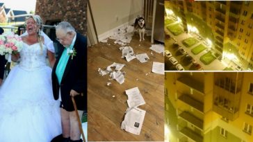 Zdroj: boredpanda.com