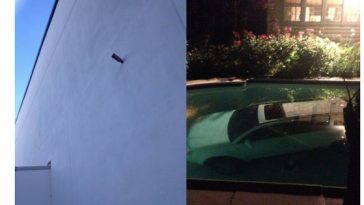 Zdroj: boredpanda.com