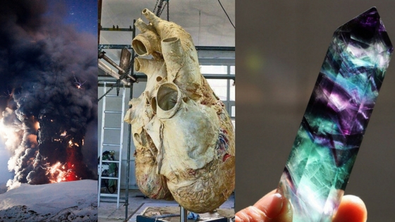 Zdroj: brightside.me