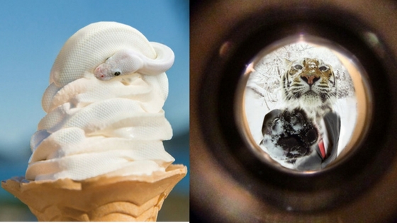 Zdroj: brightside.me