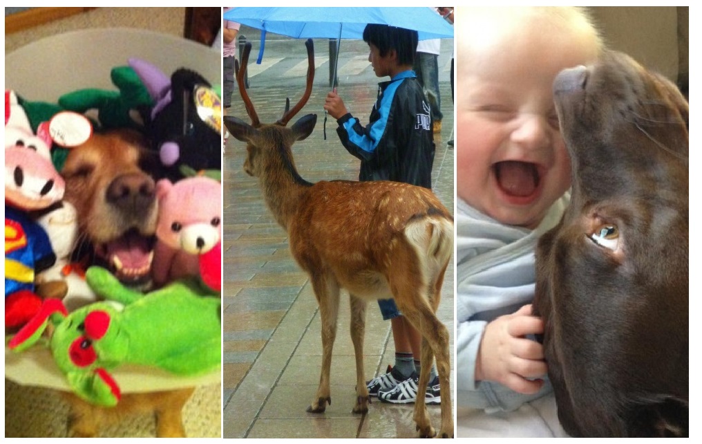 Zdroj : brightside.me