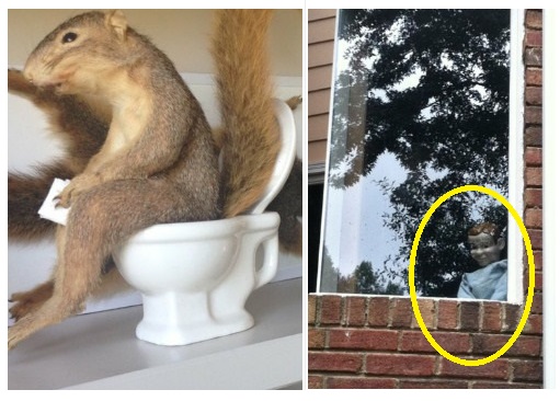 Zdroj : boredpanda.com