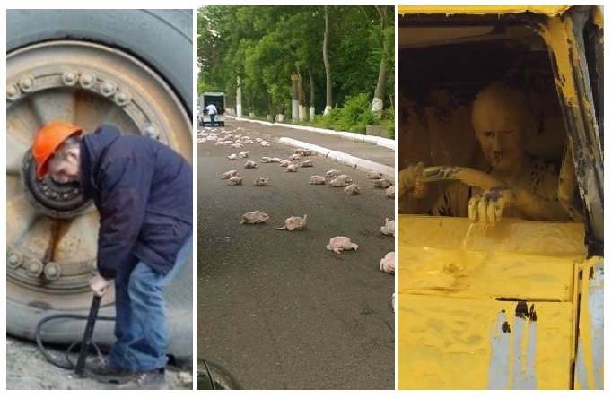 Zdroj : brightside.me