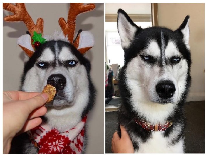 Zdroj : boredpanda.com