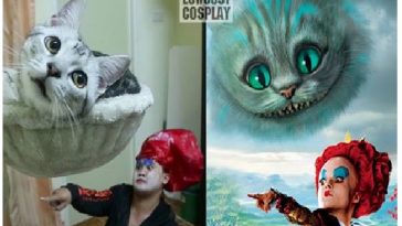 Zdroj : brightside.me