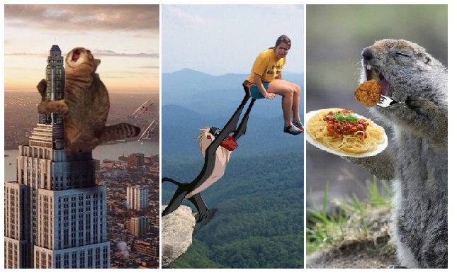 Zdroj : brightside.me