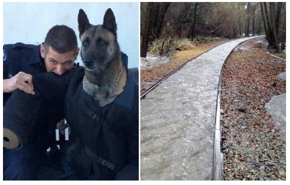 Zdroj : brightside.me