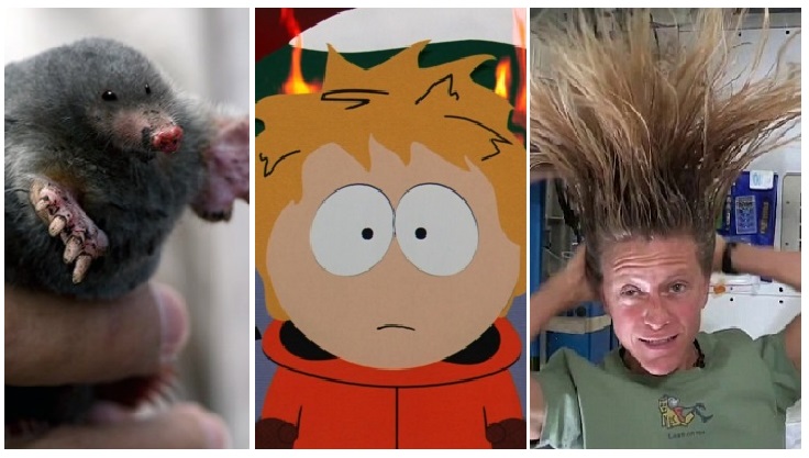 Zdroj : brightside.me